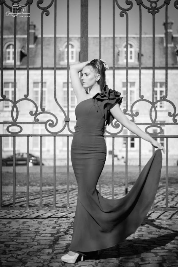 Chateau De Plessier-Roza Le Plessier-Rozainvillers Ngoại thất bức ảnh